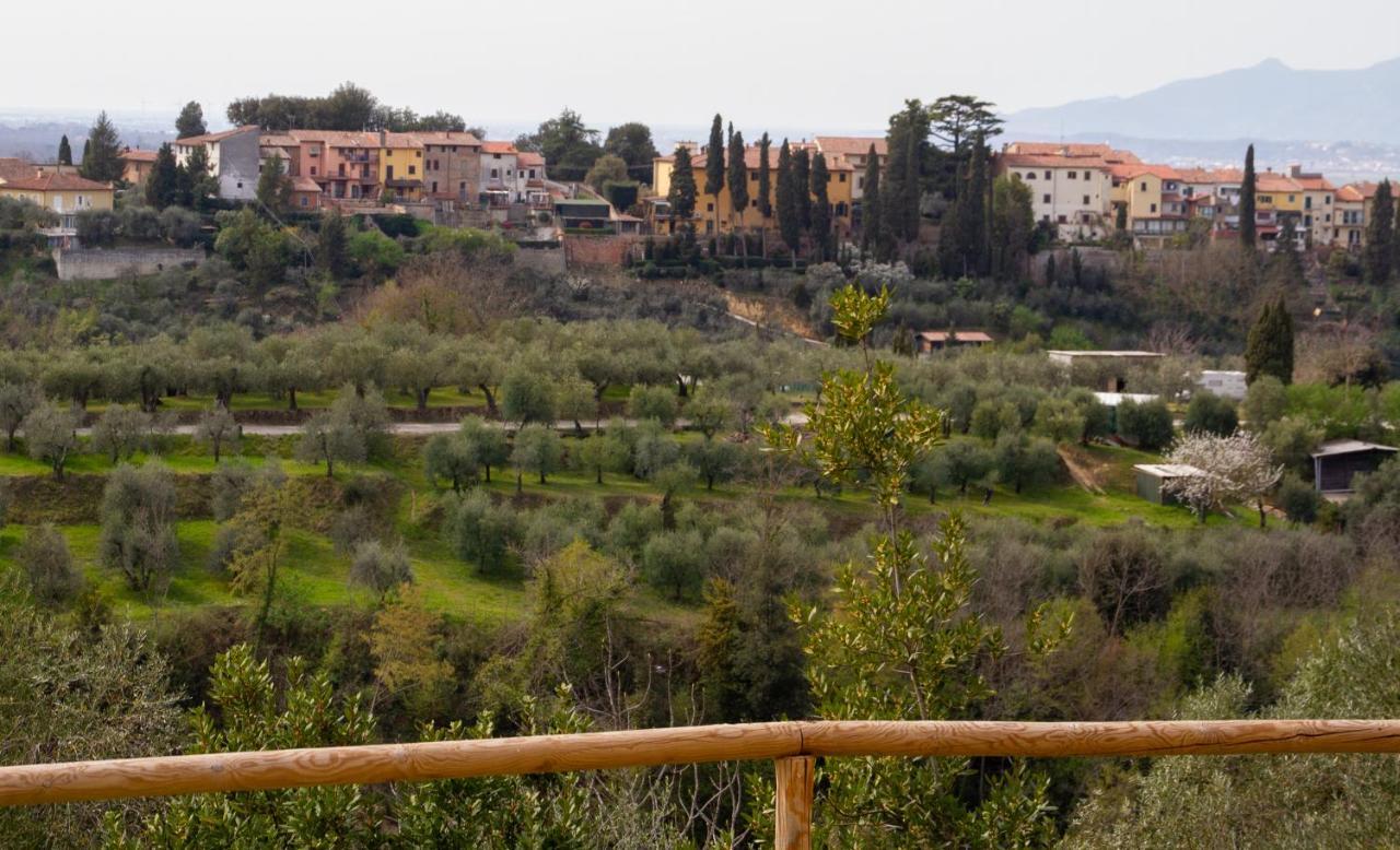 Montevecchio Apartments Montopoli in Val d'Arno Luaran gambar